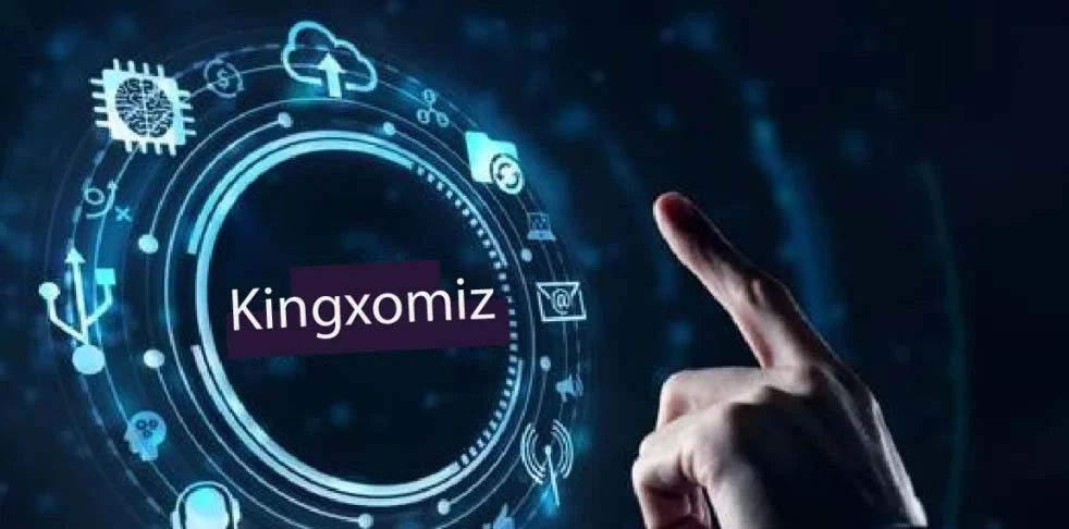 How Kingxomiz Works for Users
