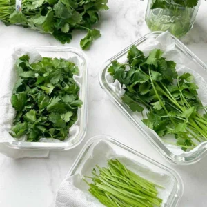 Storage-Tips-to-Keep-It-Fresh-Longer